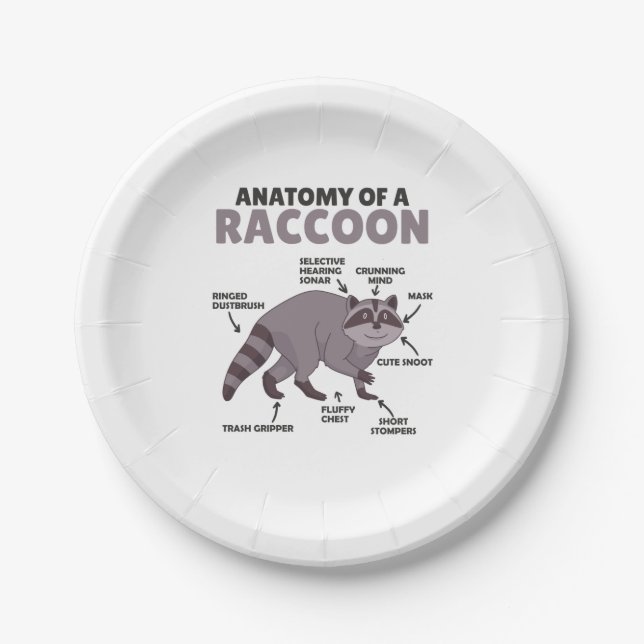 Assiettes En Carton Sweet Raccoon Explication Anatomie D'Un Raccoon (Devant)