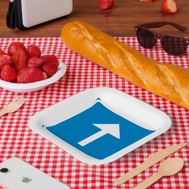 Assiettes En Carton Symbole de la route à sens unique bleu - Inscripti (Créateur téléchargé)