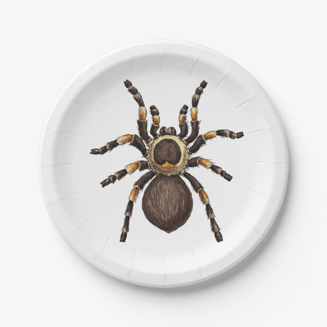 Assiettes En Carton Tarantula (Devant)