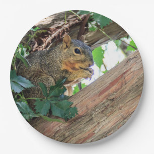 Assiettes En Carton Temps de casse-croûte