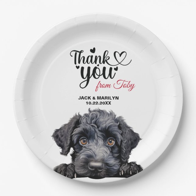 Assiettes En Carton Terrier bleu de Kerry (Devant)