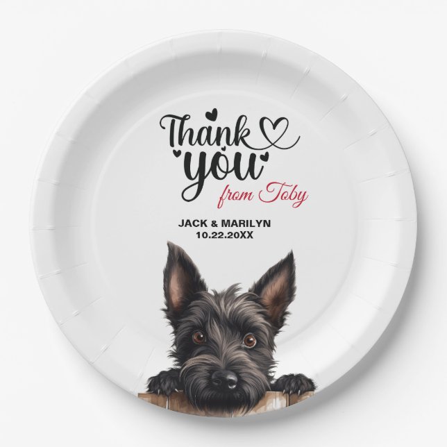 Assiettes En Carton Terrier Écossais (Devant)