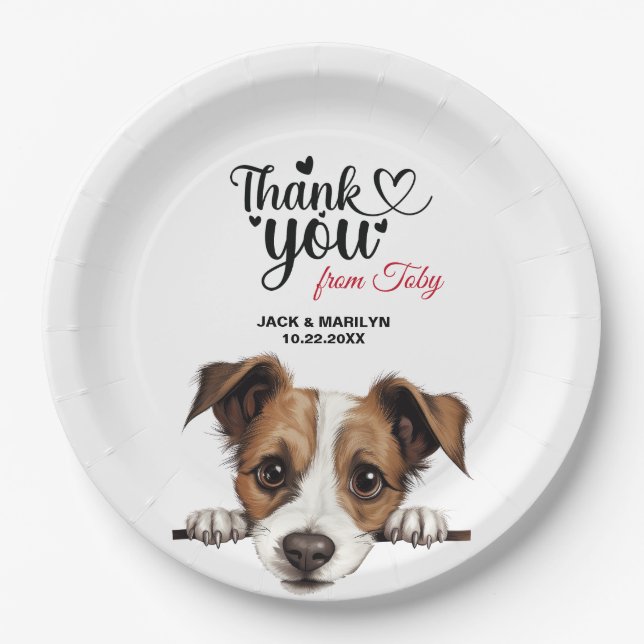 Assiettes En Carton Terrier Jack Russell (Devant)