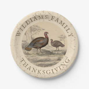 Assiettes En Carton Thanksgiving Vintage Turquie