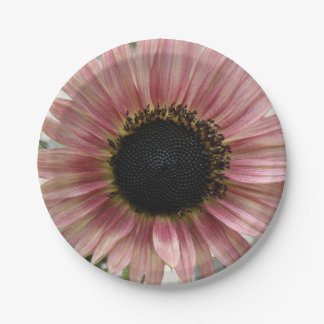 Assiettes En Carton Tournesol rose pâle