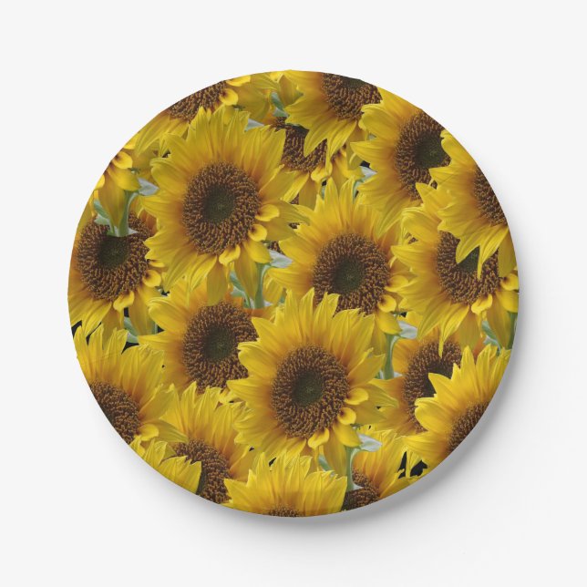 Assiettes en carton Tournesols (Devant)