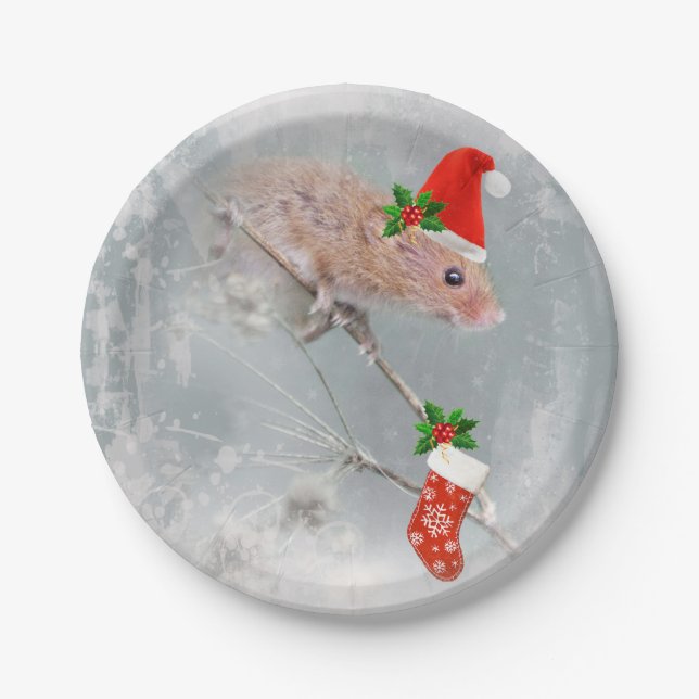 Assiettes En Carton Tout ensemble pour plaque de papier Père Noël (Devant)