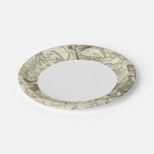 Assiettes En Carton Troyes (Angle)