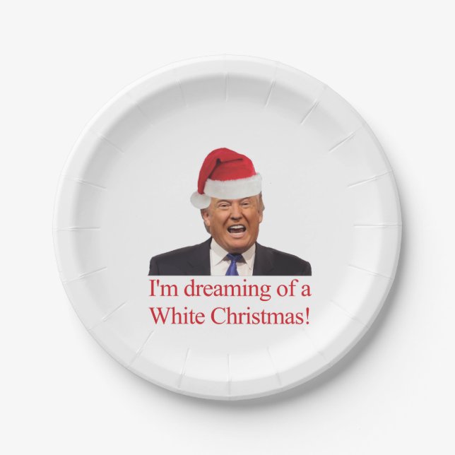 Assiettes En Carton Trump. Rêver d'un Noël blanc (Devant)