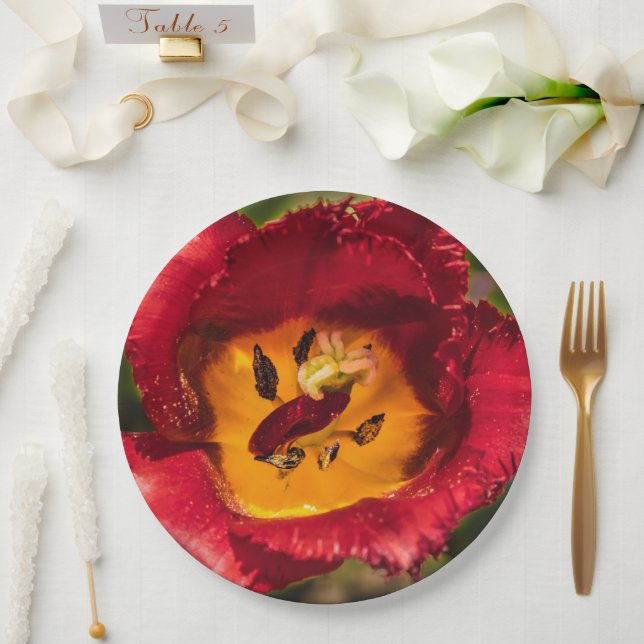Assiettes En Carton Tuliforme rouge (Mariage)