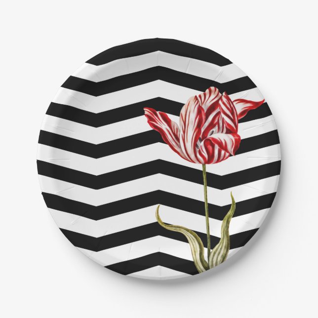 Assiettes En Carton Tulip Botanique Chevron Stripes Motif (Devant)