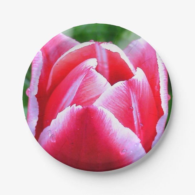 Assiettes En Carton Tulipe rose (Devant)