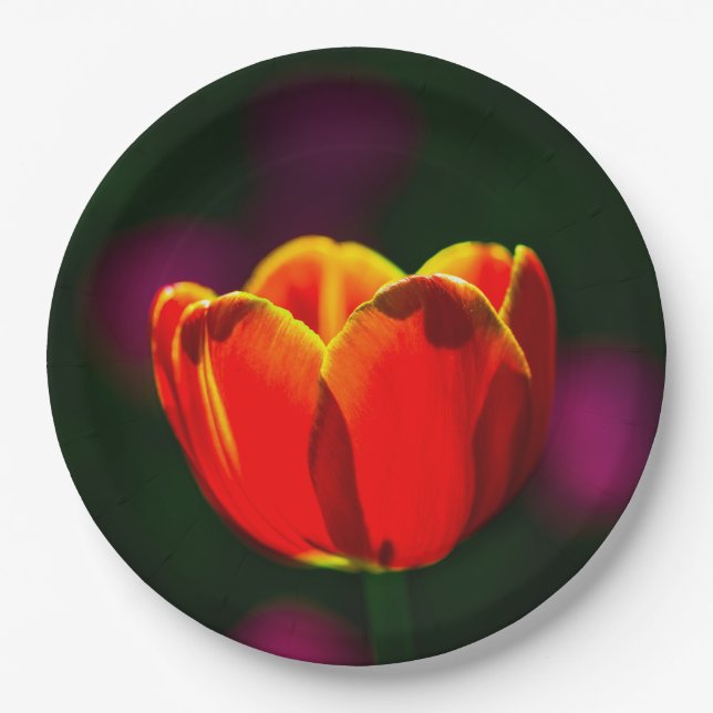 Assiettes En Carton Tulipe rouge fleur (Devant)