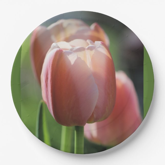 Assiettes En Carton Tulipes roses (Devant)