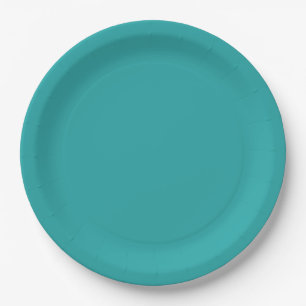 Assiettes En Carton Turquoise chaud