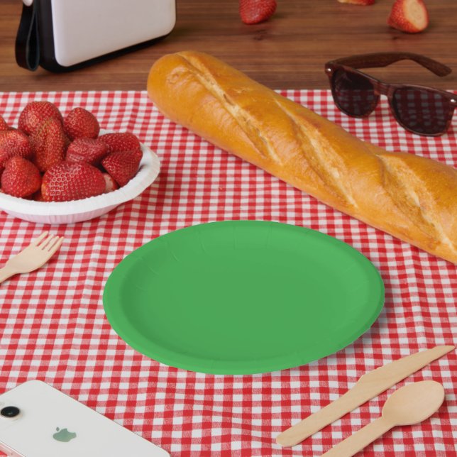 Assiettes En Carton un fond vert avec une bordure blanche (Pique-nique)