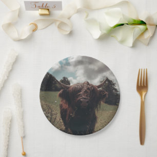 Assiettes En Carton Vache écossaise de la région montagneuse noire pât