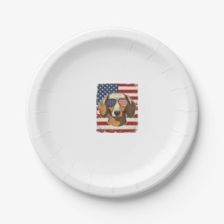 Assiettes En Carton Vecteur de lunettes de soleil avec drapeau de dach