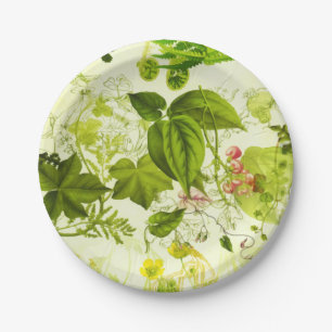 Assiettes En Carton Verdure Vintage Fleurs sauvages botaniques Aquarel