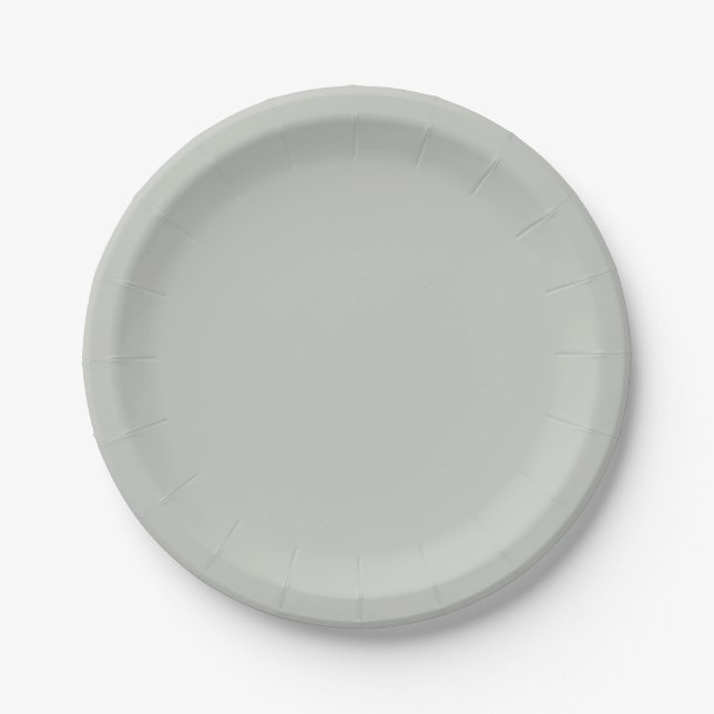 Assiettes En Carton Vert gris clair uni (Devant)