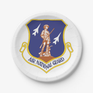 Assiettes En Carton Vétéran militaire de l'armée de l'air