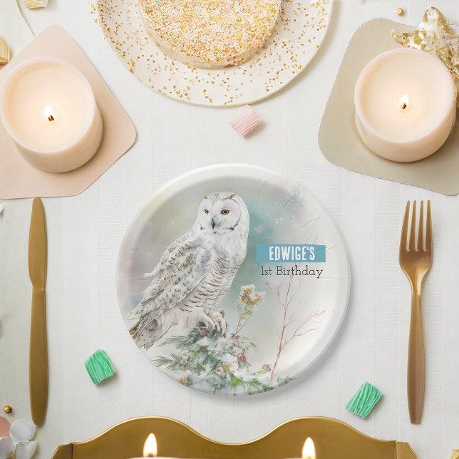 Assiettes En Carton Villes d'hiver Owl - fête d'anniversaire - (Créateur téléchargé)