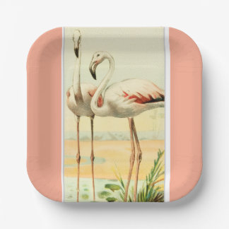 Assiettes En Carton Vintage Flamingo