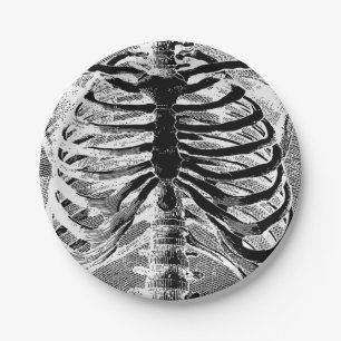 Assiettes En Carton Vintage Skeleton Bones Torso Body Halloween