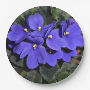 Assiettes En Carton Violet royal d'Afrique