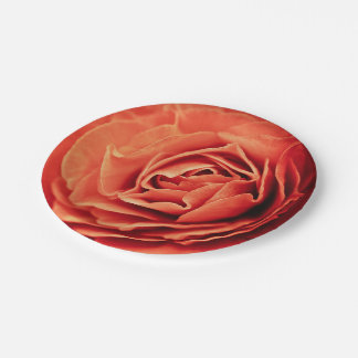 Assiettes En Carton vivant rose