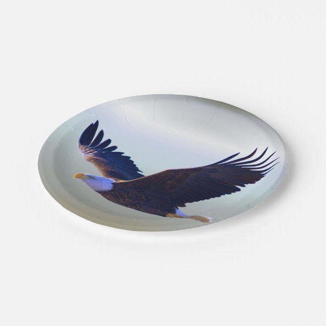 Assiettes En Carton Voler d'Eagle chauve (Angle)