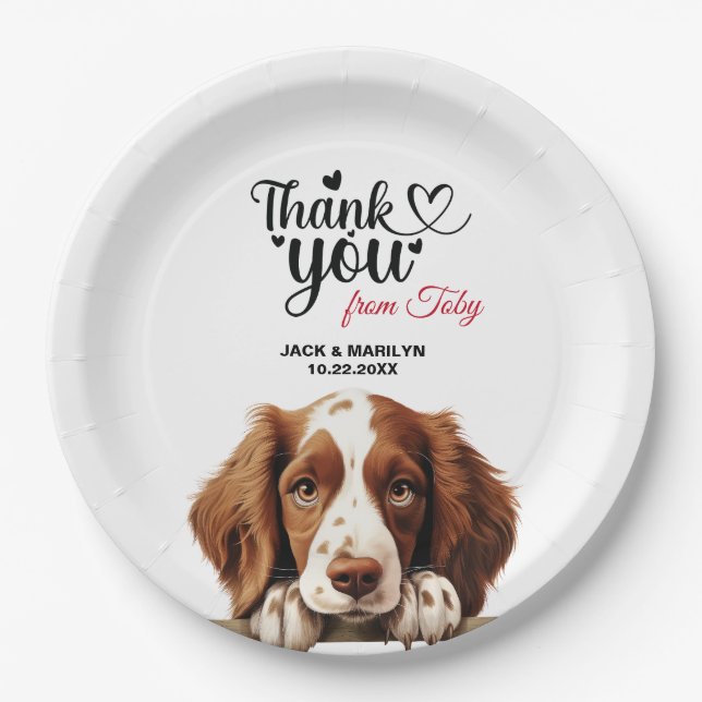 Assiettes En Carton Welsh Springer Spaniel (Devant)