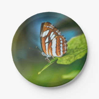 Assiettes En Carton White and Orange Striped Butterfly