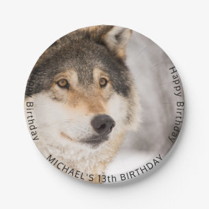 Assiettes En Carton Wolf 13e anniversaire ado garçon de fête