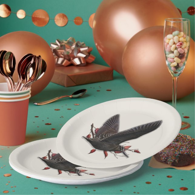 Assiettes En Carton Woodcock (Multi)