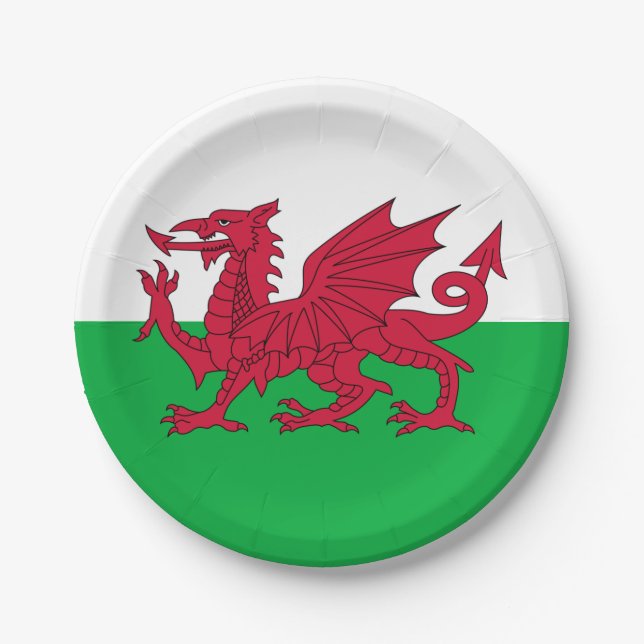 Assiettes En Carton Y Ddraig Goch : Plaque galloise de papier-drapeau (Devant)