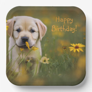 Assiettes En Carton Yellow Labrador Retriever
