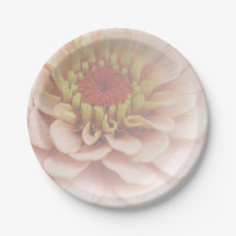 Zinnia Papier Plaques Pale Peach