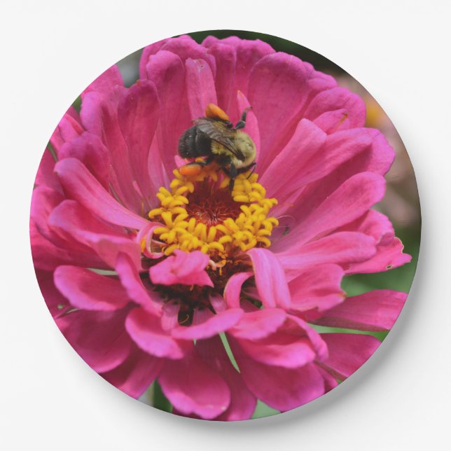 Assiettes En Carton Zinnia rose et Bumble bee (Devant)