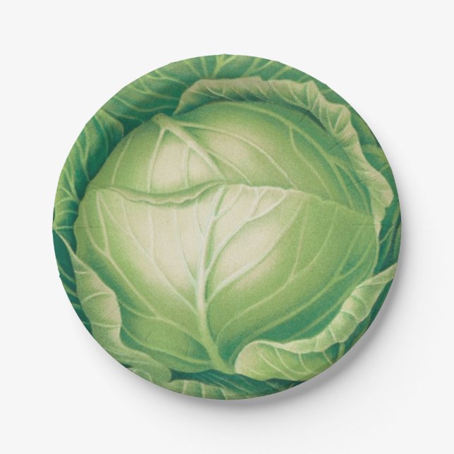 Assiettes en papier Cabbageware (Devant)
