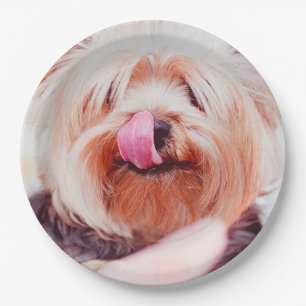 Assiettes en papier Chien Mignon 5