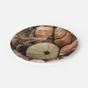Assiettes en papier Coquillages de mer mixtes