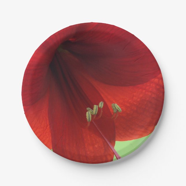 Assiettes en papier Fleur d'Amaryllis Rouge (Devant)