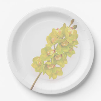 Assiettes en papier Orchidée verte