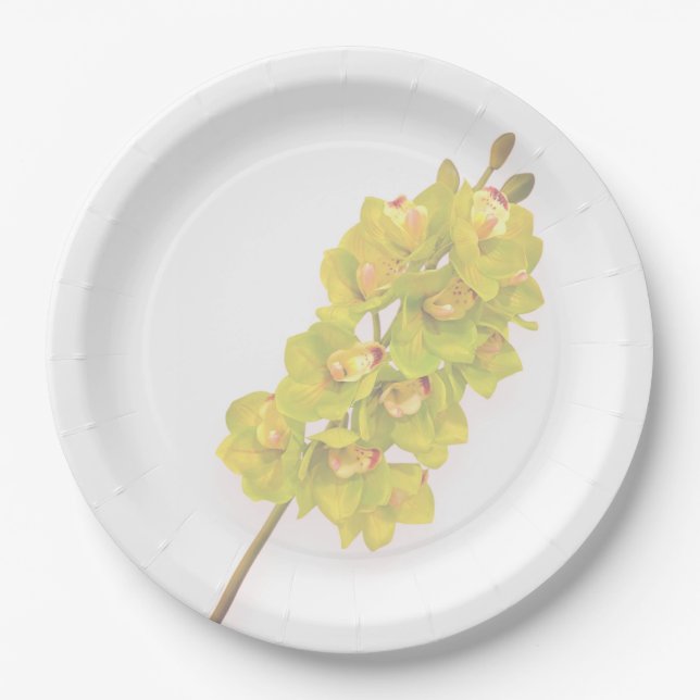 Assiettes en papier Orchidée verte (Devant)