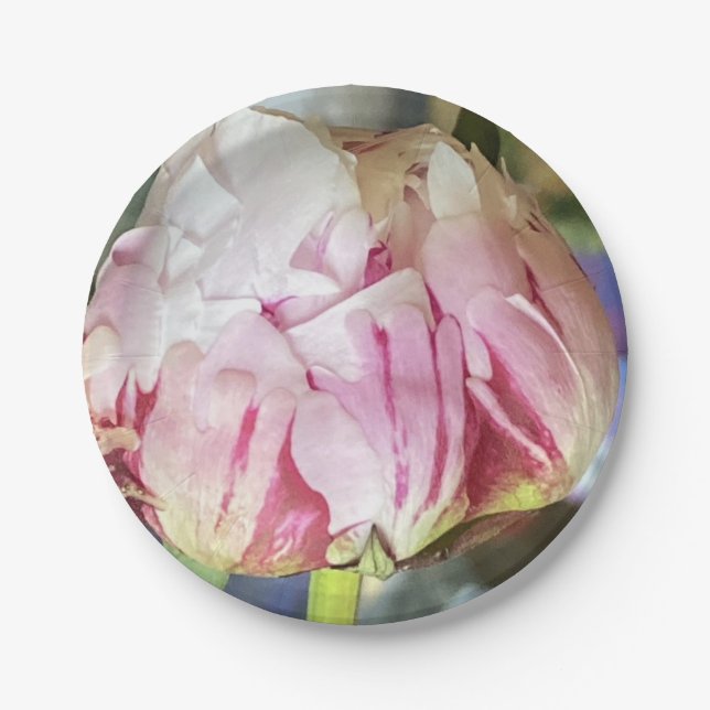 Assiettes en papier parfaites Pivoine (Devant)
