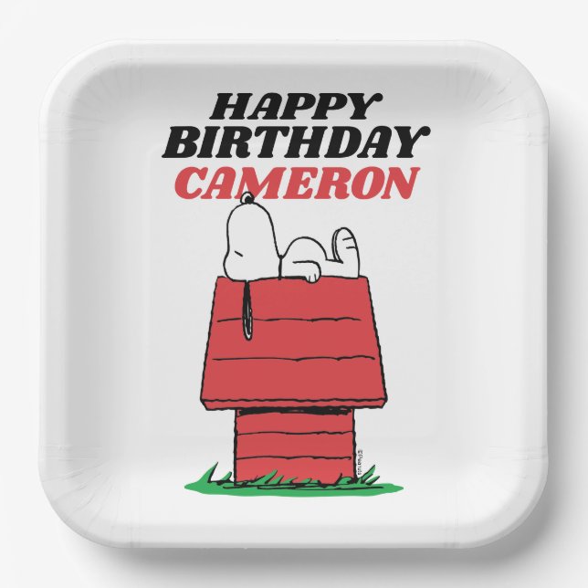 Assiettes en papier pour anniversaire Peanuts Snoo (Recto)
