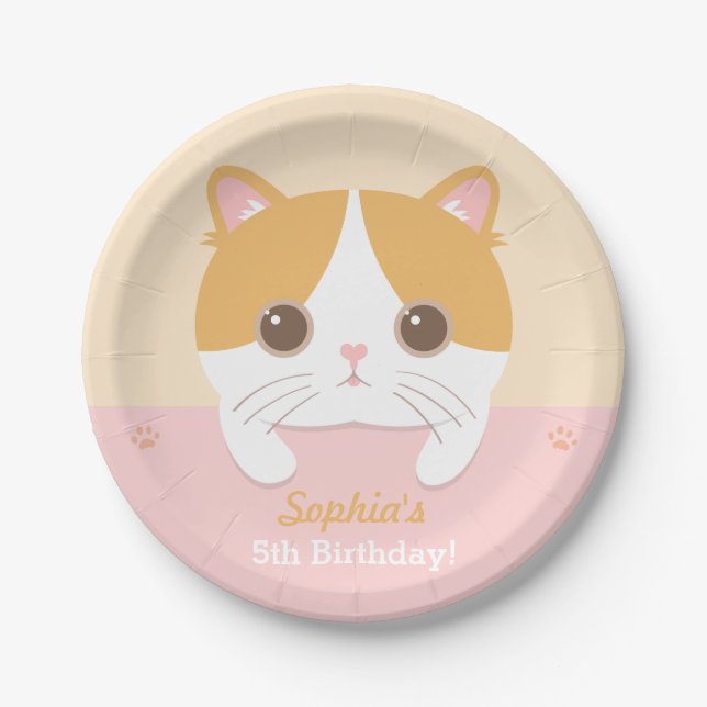 Assiettes en papier pour fête d'anniversaire de ch (Devant)