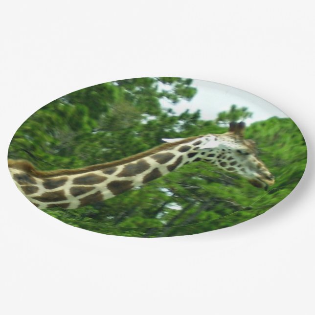 Assiettes en papier profil de girafe (Angle)