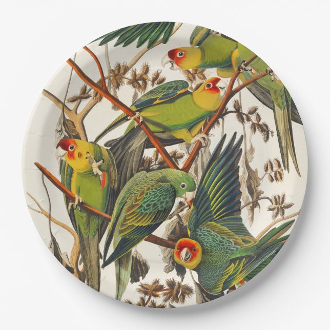 Assiettes en papier uniques oiseaux tropicaux (Devant)